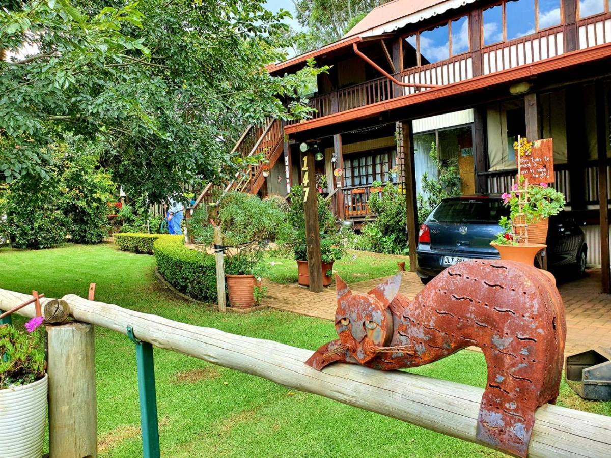 Kattekwaad Accommodation Kaapsehoop Zewnętrze zdjęcie
