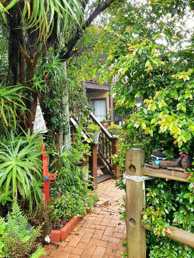 Kattekwaad Accommodation Kaapsehoop Zewnętrze zdjęcie